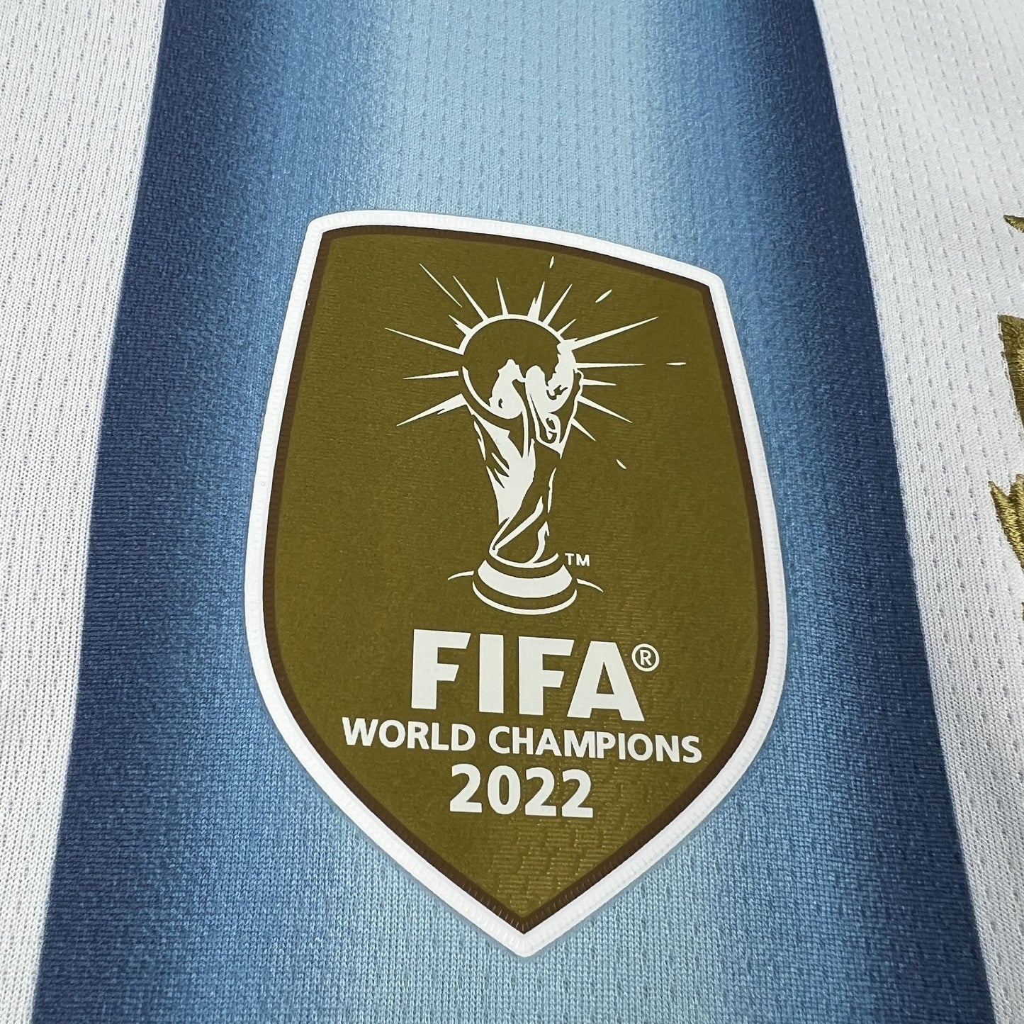 2026 Argentina Home World Cup Kit