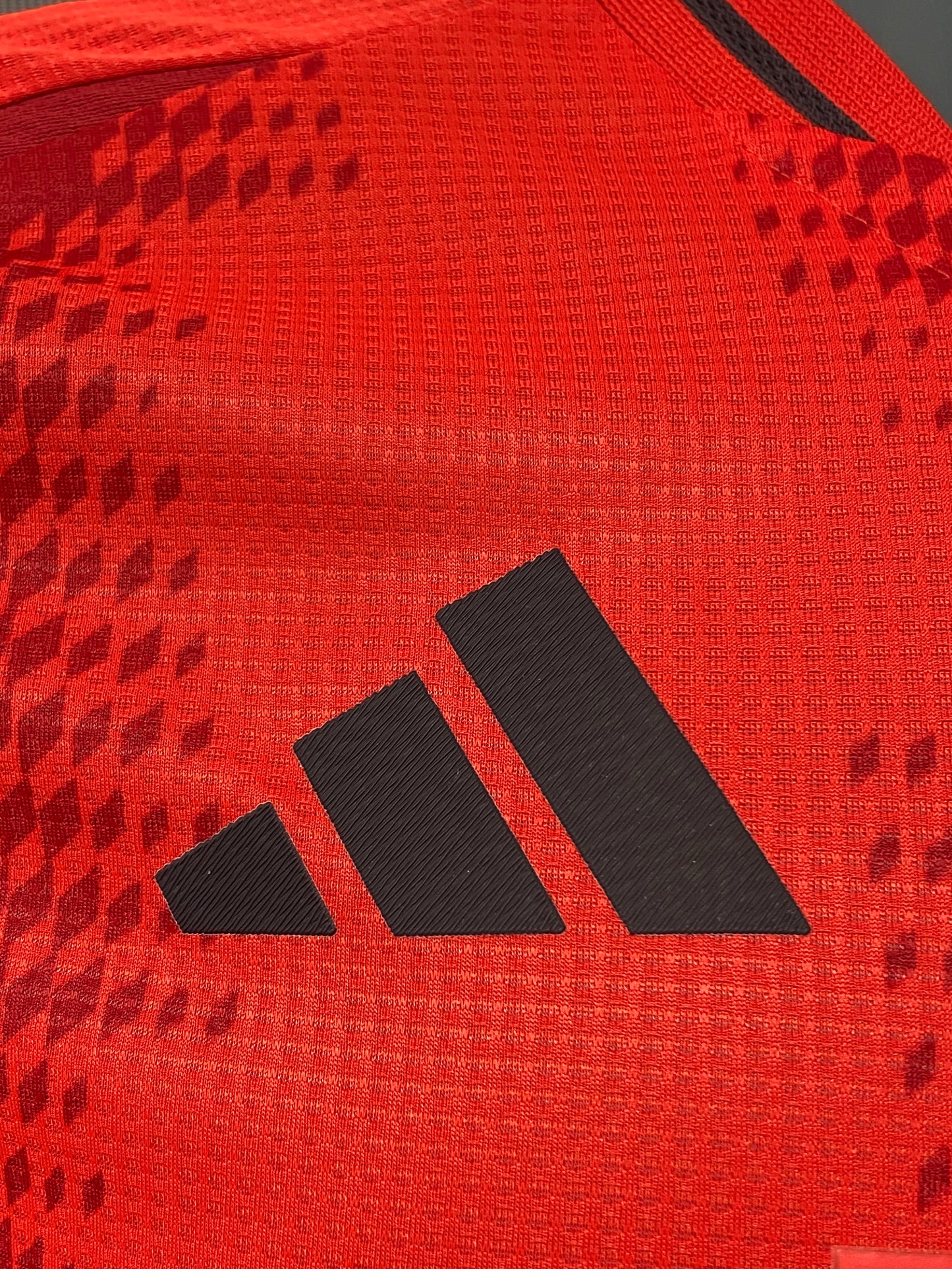 Bayern Munich 2024-2025 Kit