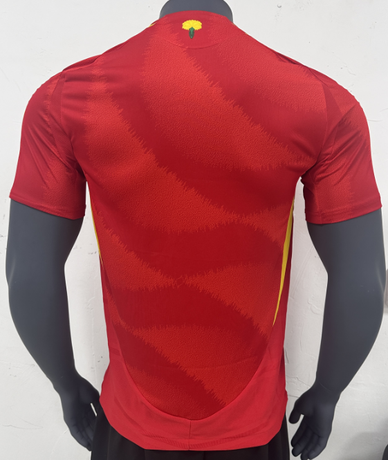 Spain 2024 Kit
